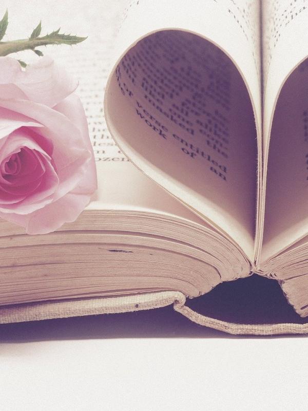 Love Template Portfolio 